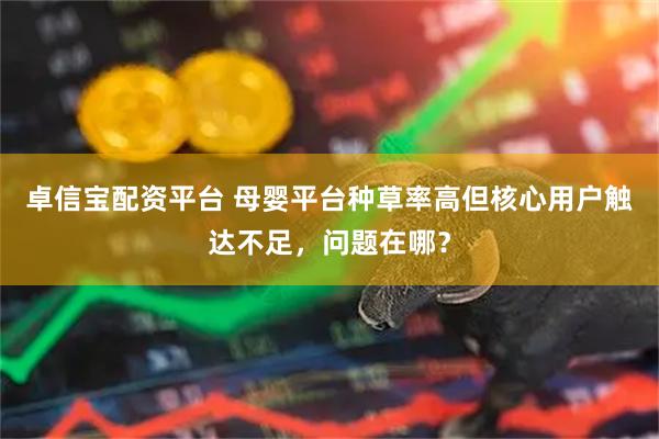 卓信宝配资平台 母婴平台种草率高但核心用户触达不足，问题在哪？