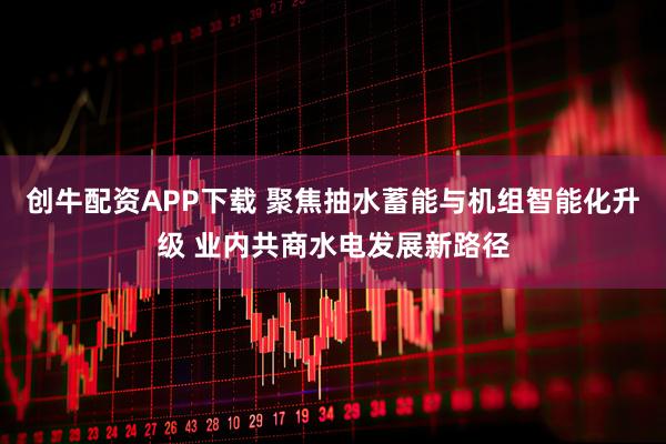 创牛配资APP下载 聚焦抽水蓄能与机组智能化升级 业内共商水电发展新路径