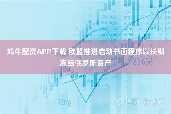 鸿牛配资APP下载 欧盟推进启动书面程序以长期冻结俄罗斯资产