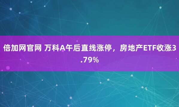 倍加网官网 万科A午后直线涨停，房地产ETF收涨3.79%