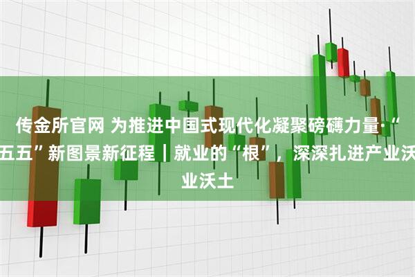 传金所官网 为推进中国式现代化凝聚磅礴力量·“十五五”新图景新征程｜就业的“根”，深深扎进产业沃土